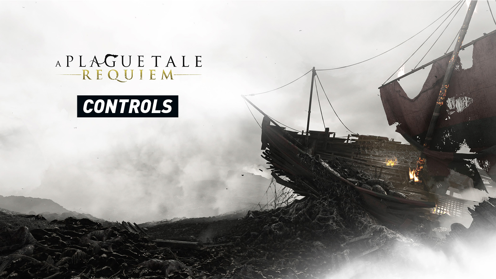 A Plague Tale: Requiem - Controls