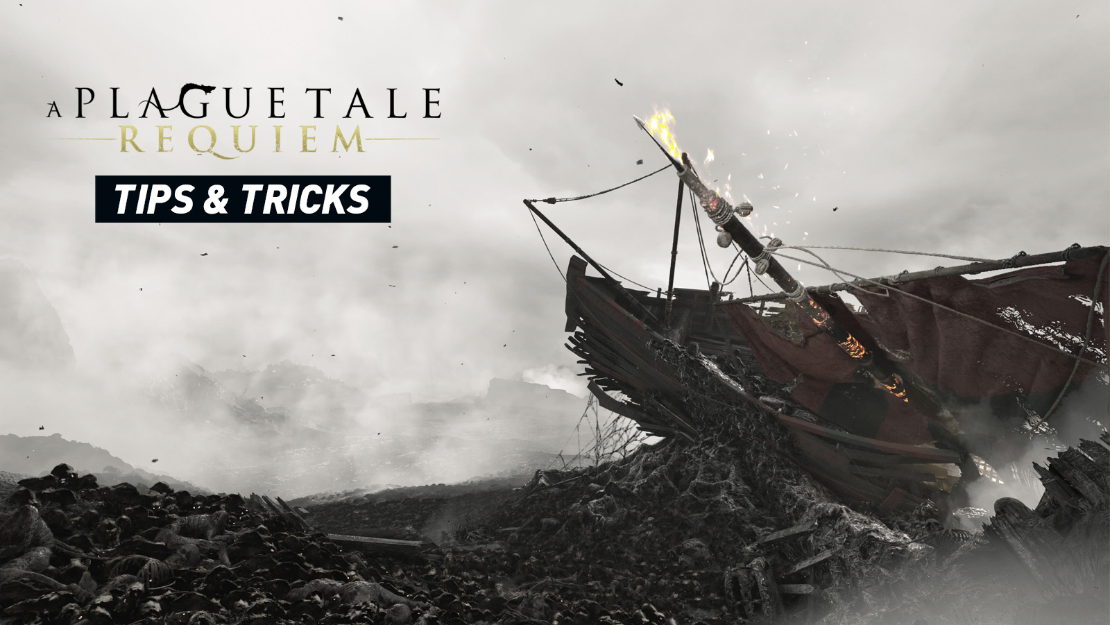 A Plague Tale: Requiem - Tips and Hints
