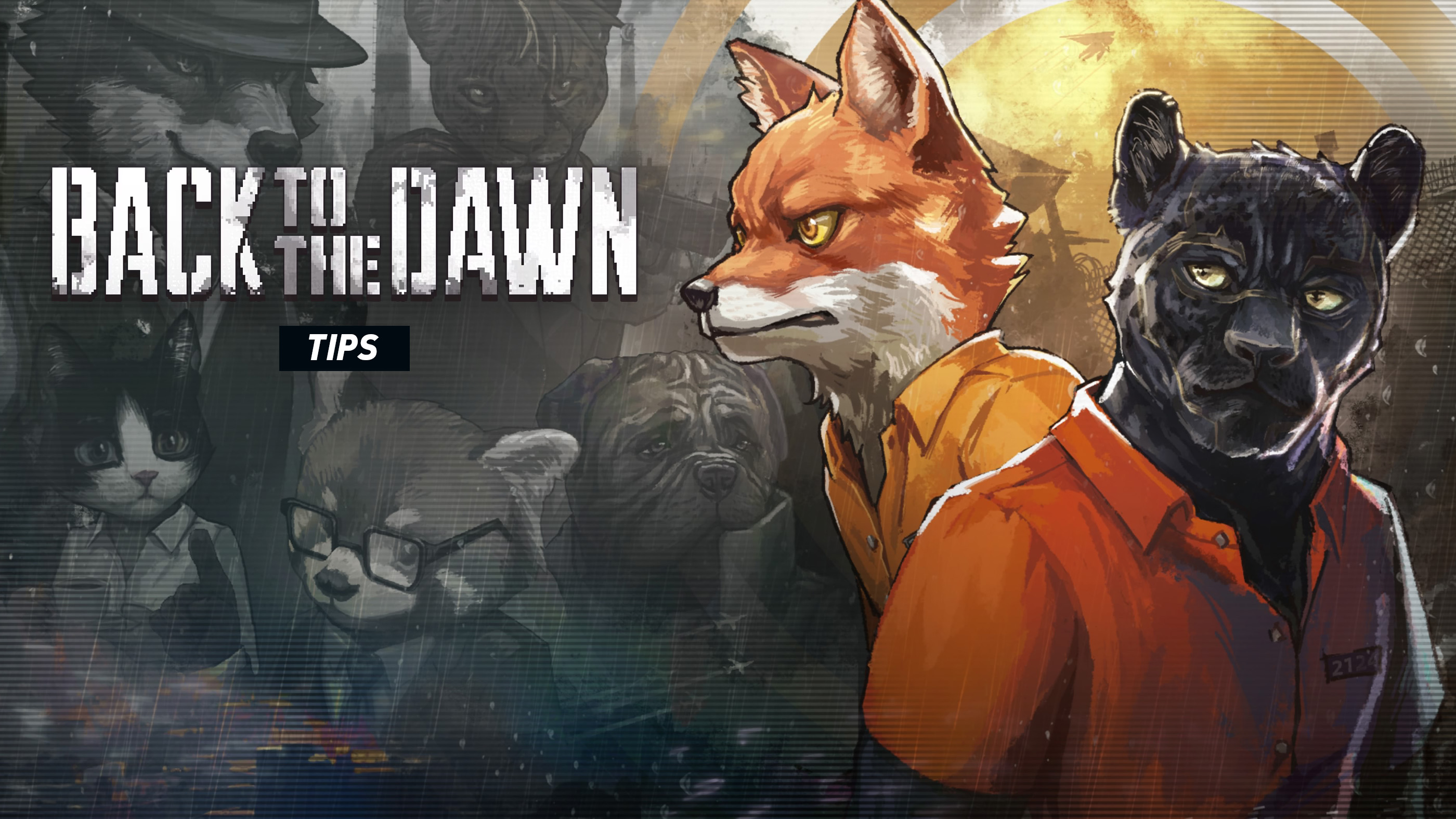 Back to the Dawn Tips