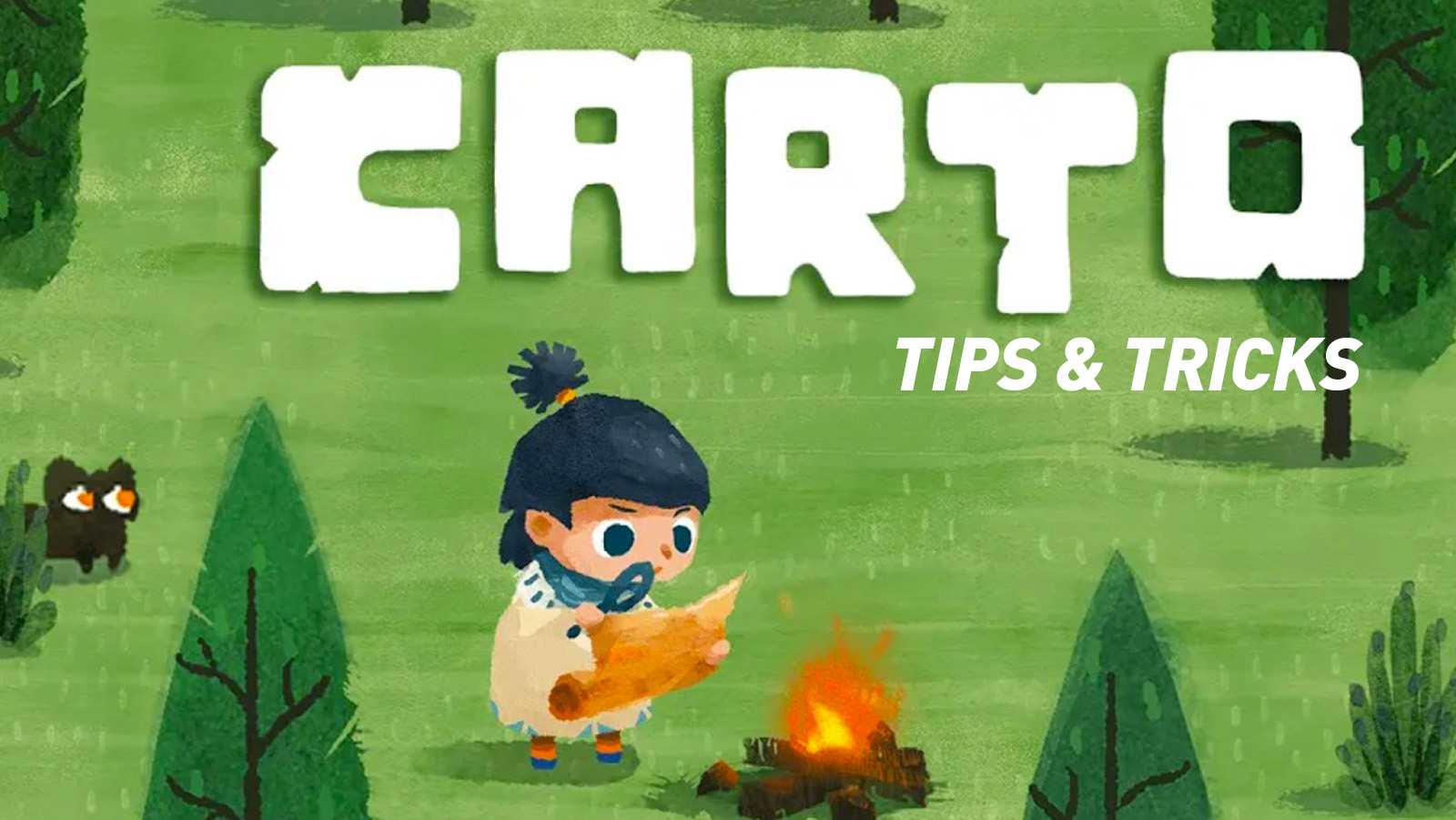 Carto - Tips and Tricks