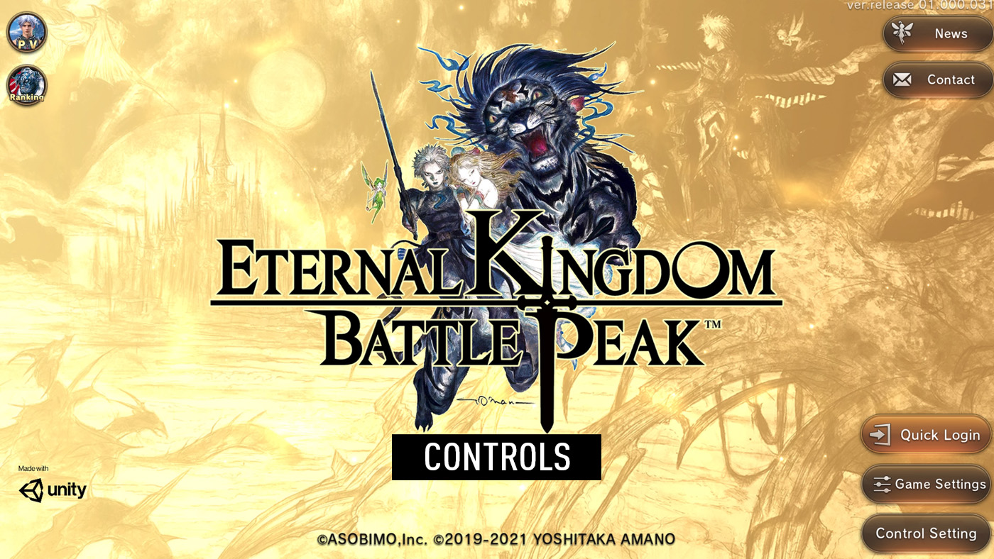 Eternal Kingdom Battle Peak - Controls