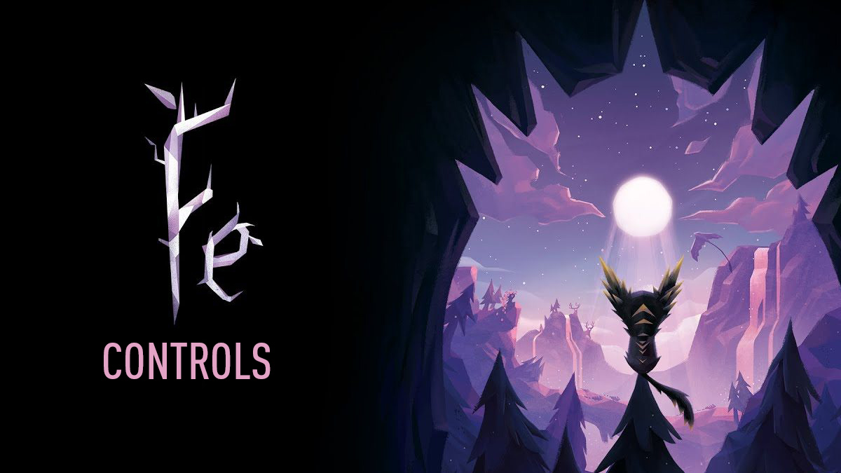 Fe Controls
