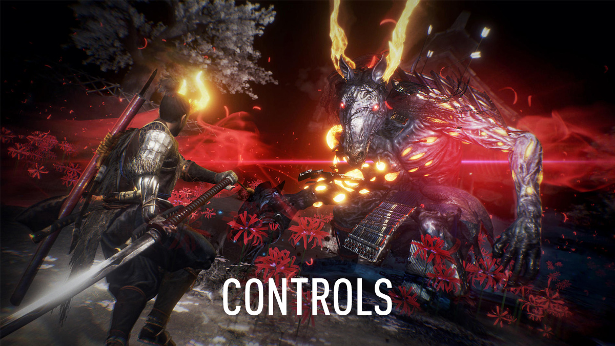 Nioh 2 Controls