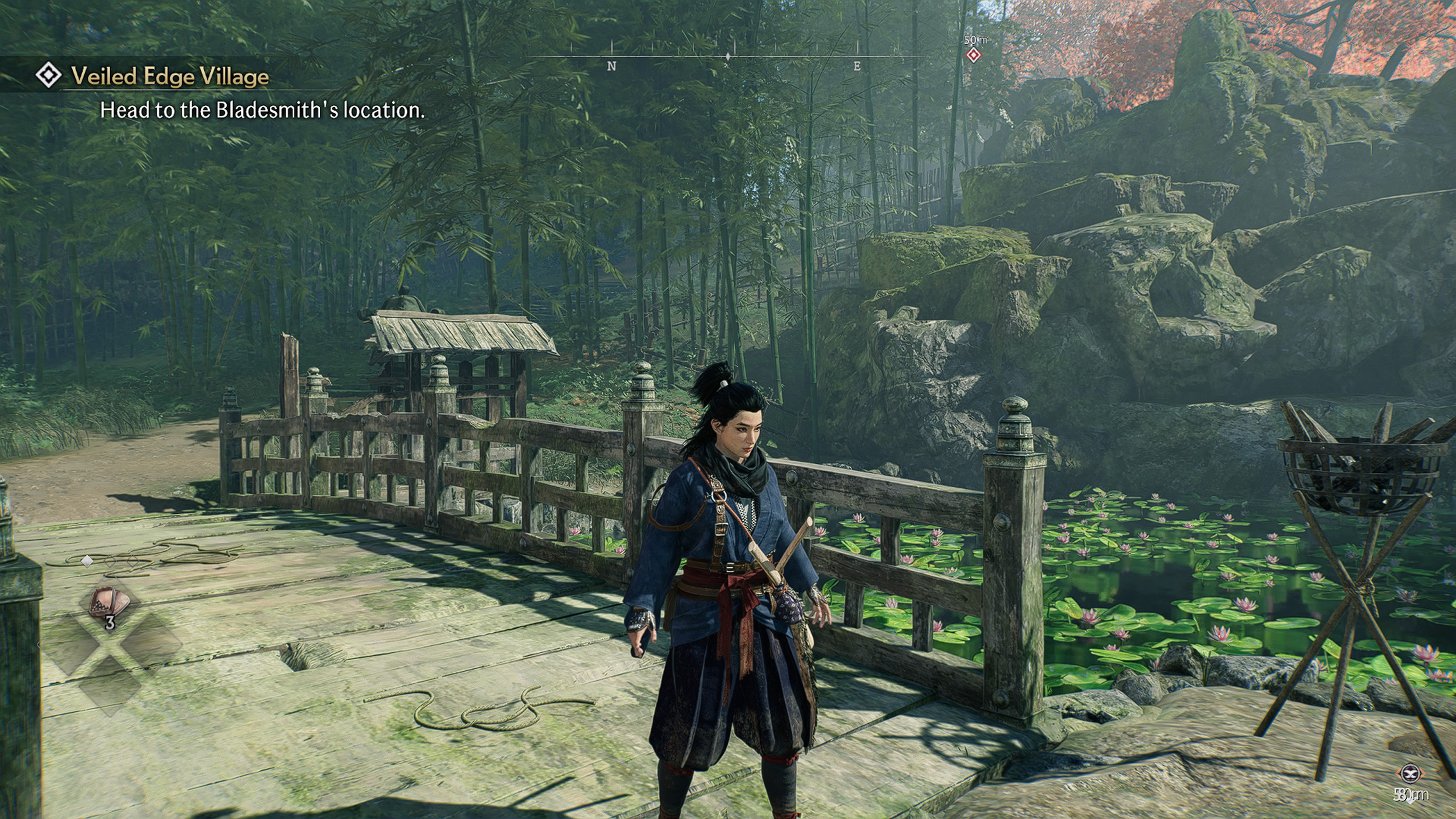Ronin
