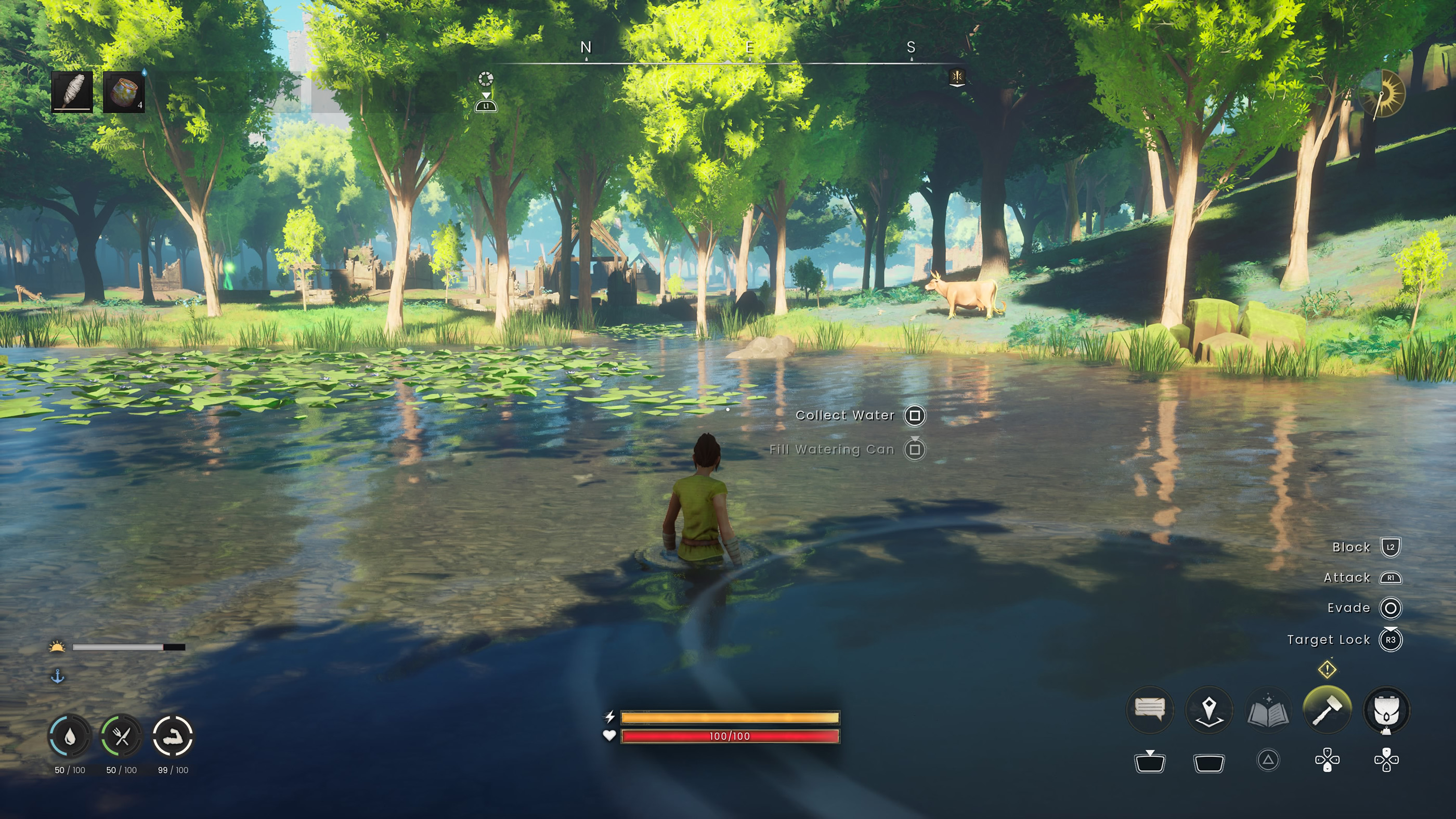 RuneScape Dragonwilds