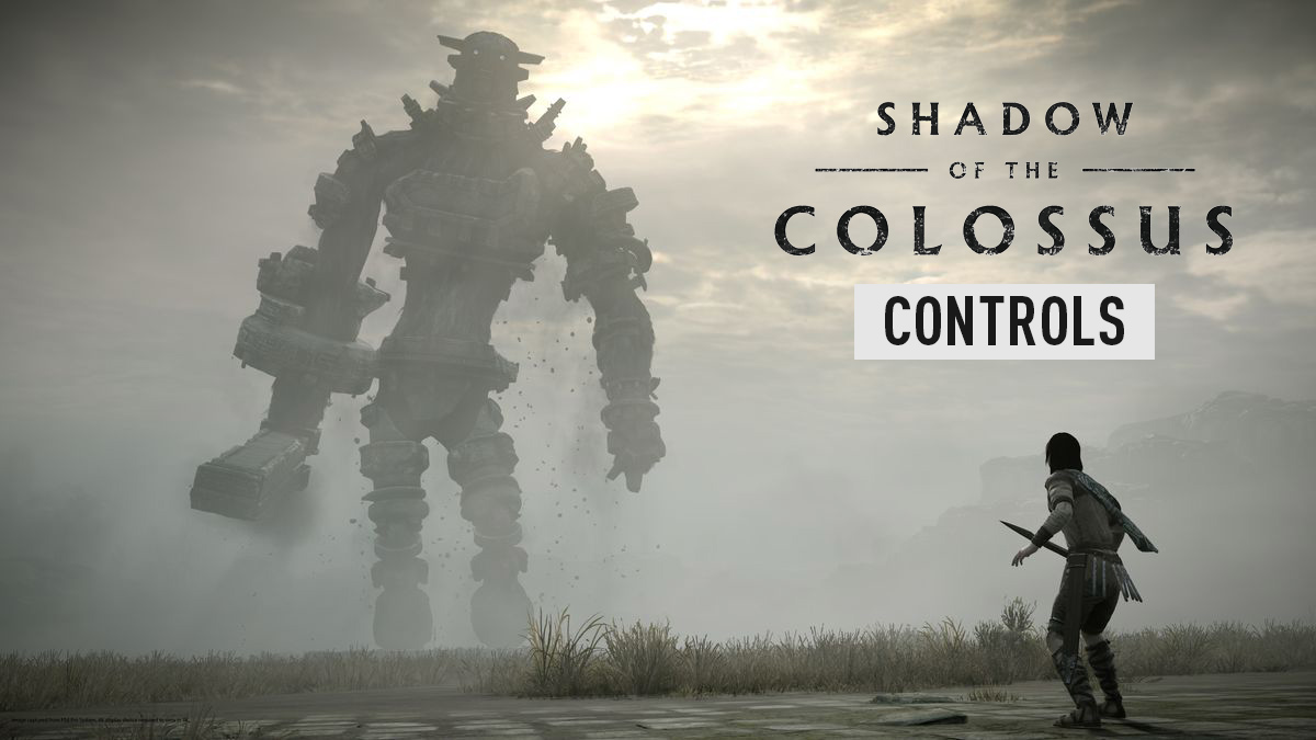Shadow of the Colossus Controls