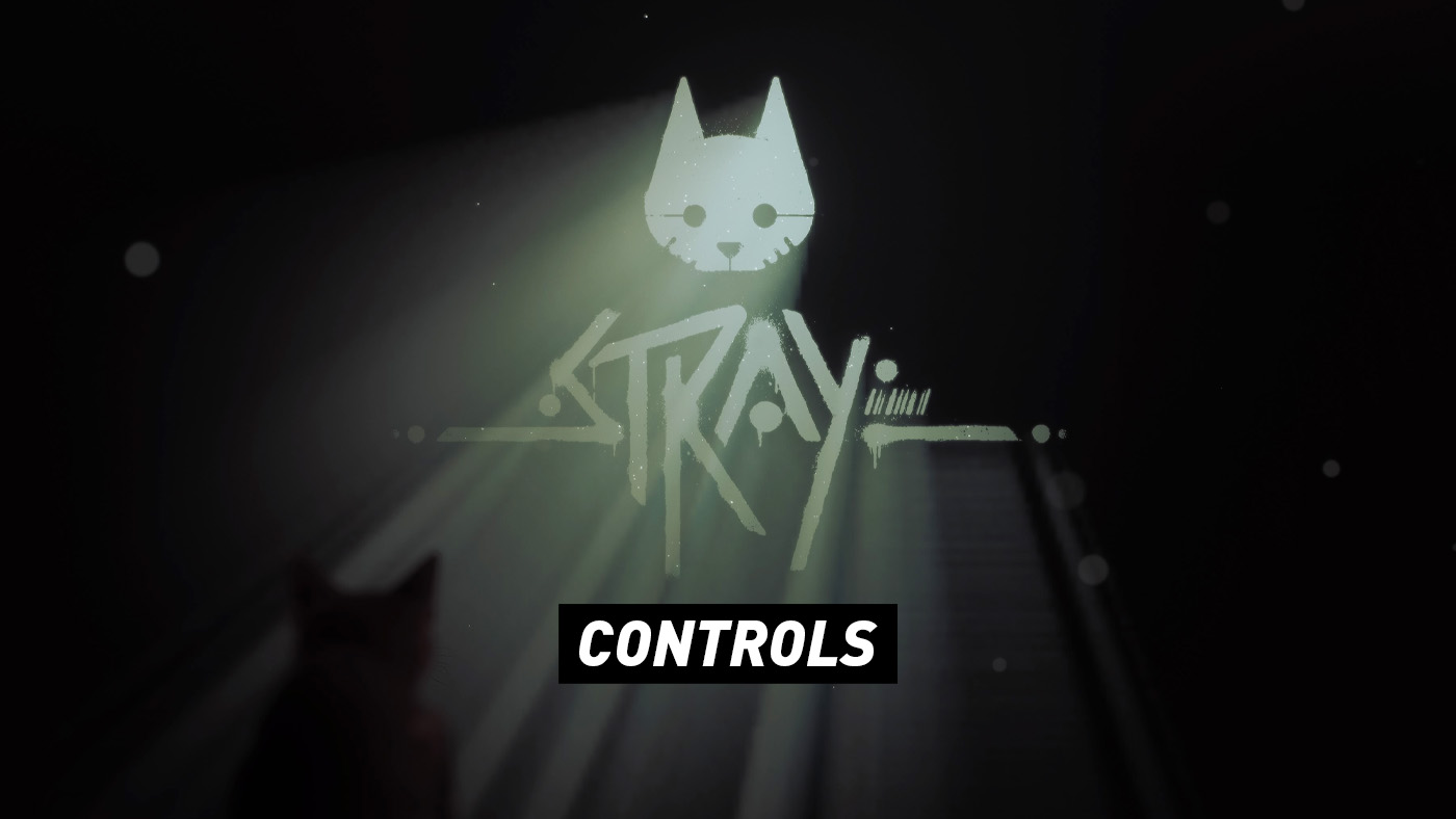 Stray - Controls