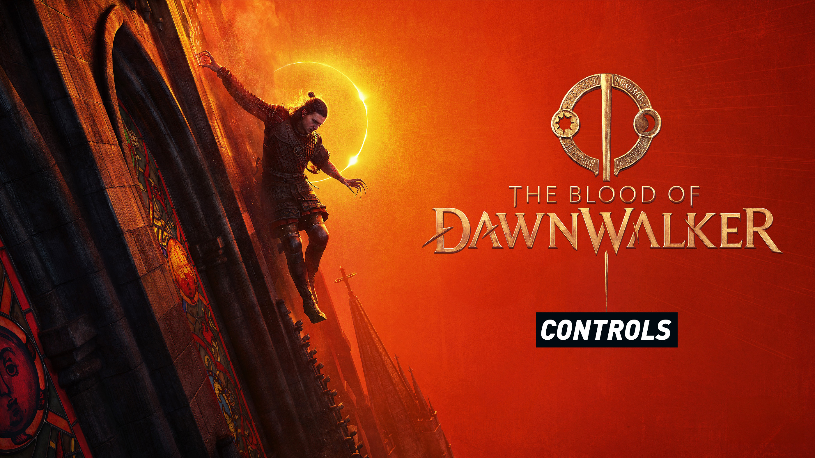 The Blood of Dawnwalker - Controls