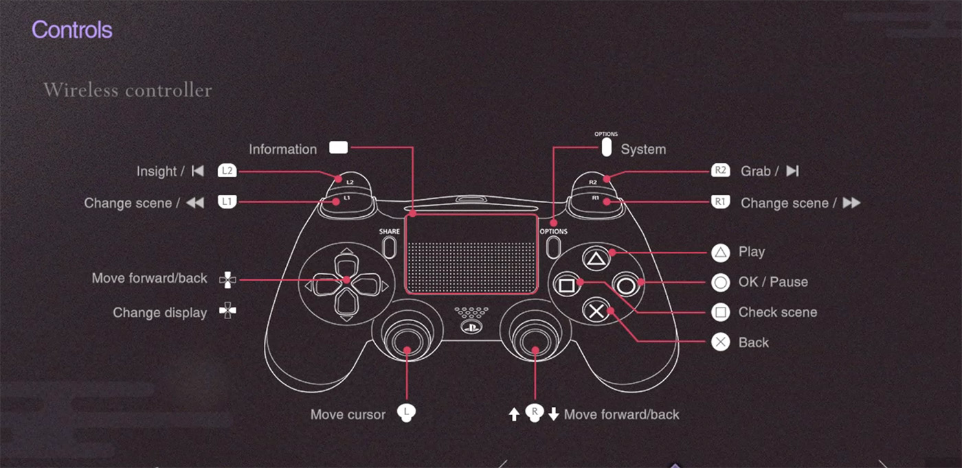 The Centennial Case Controls