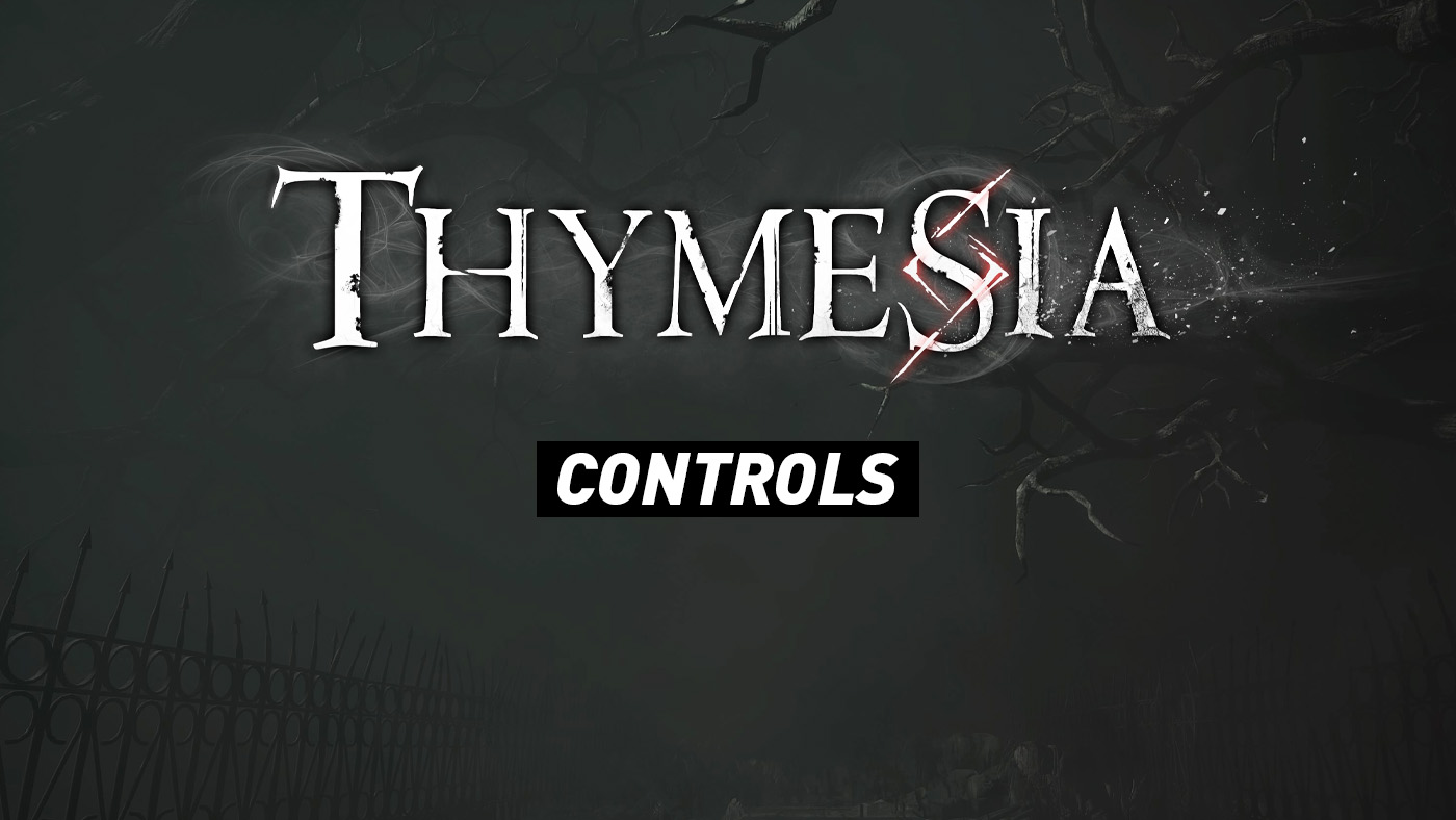 Thymesia - Controls
