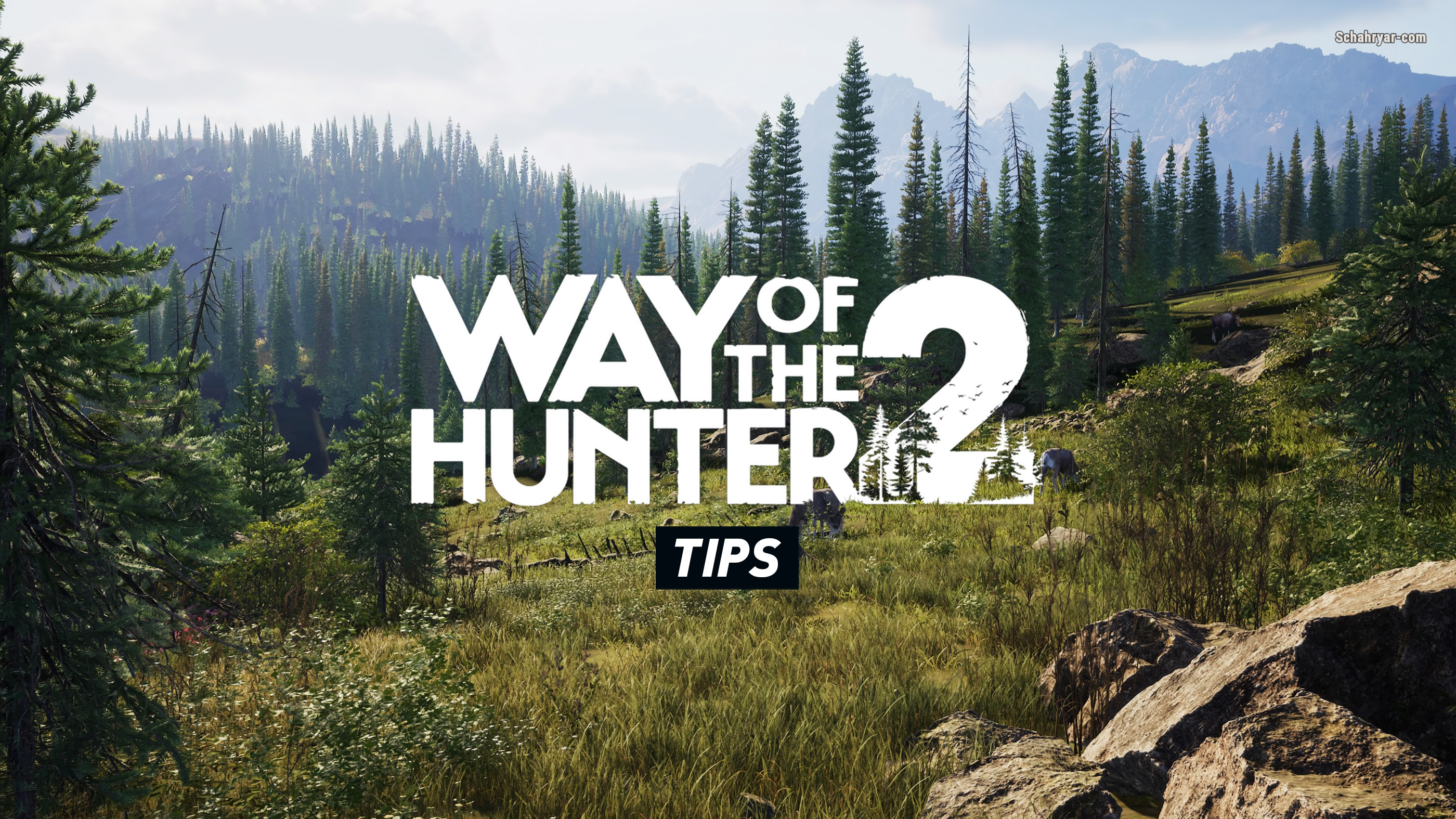 Way of the Hunter 2 Tips