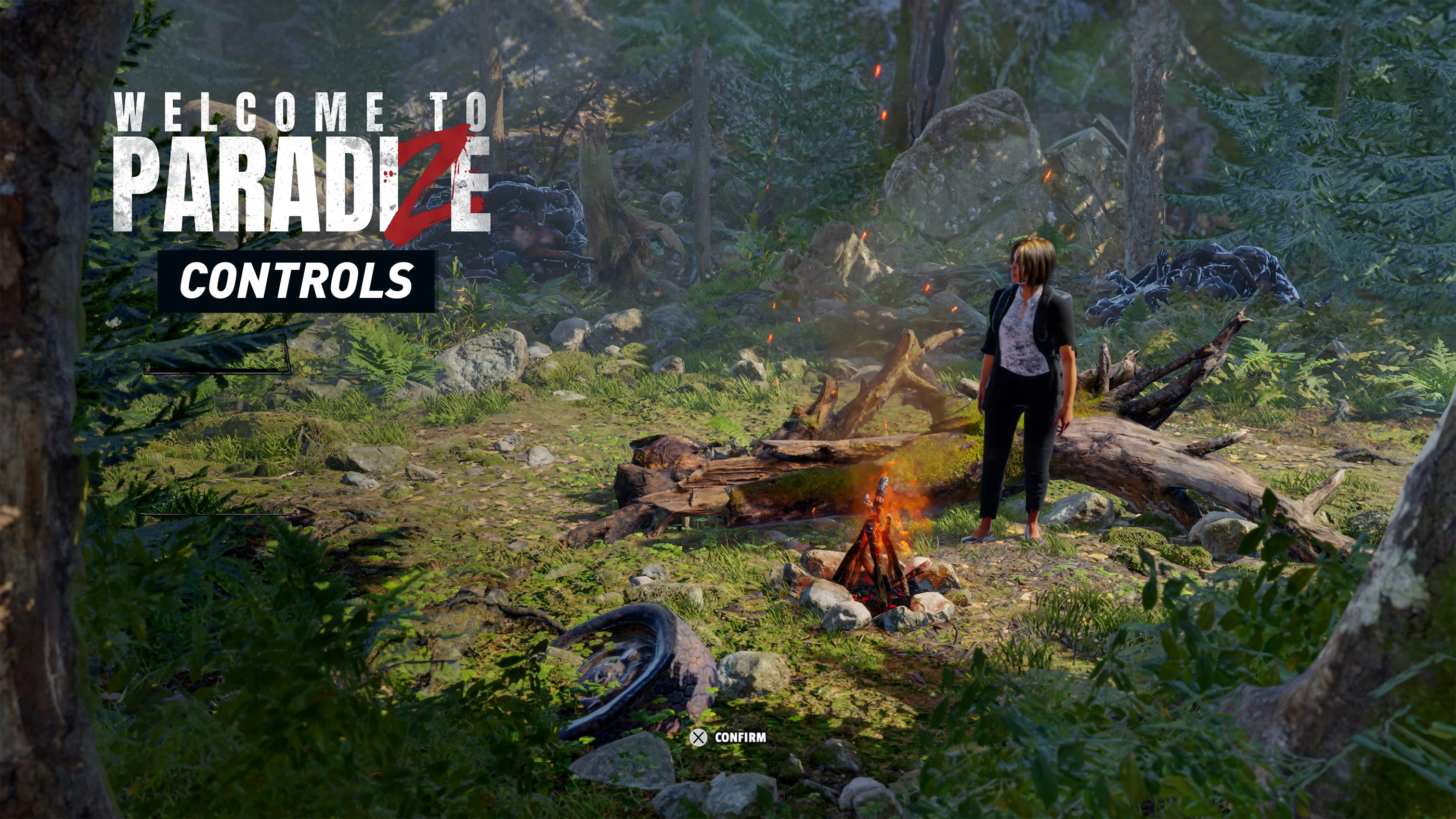 Welcome to ParadiZe - Controls